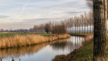 Everything there is to know about the Netherlands