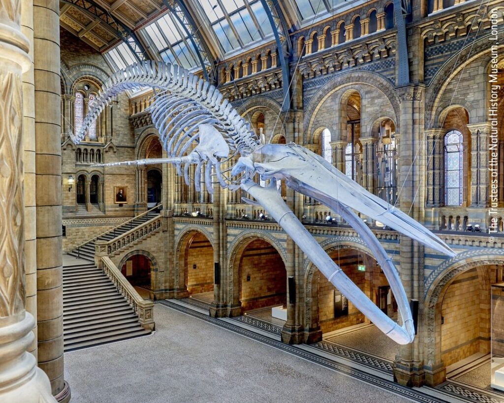 Natural History Museum of Maastricht