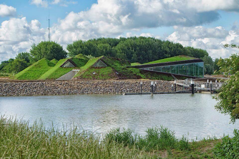 beauty-of-die-biesbosch-national-par