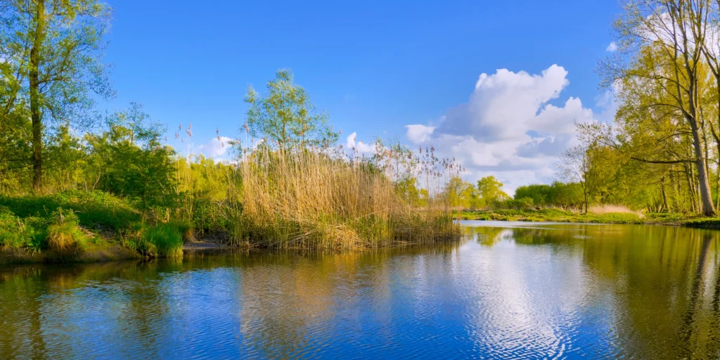 Everything there is to know about the Netherlands