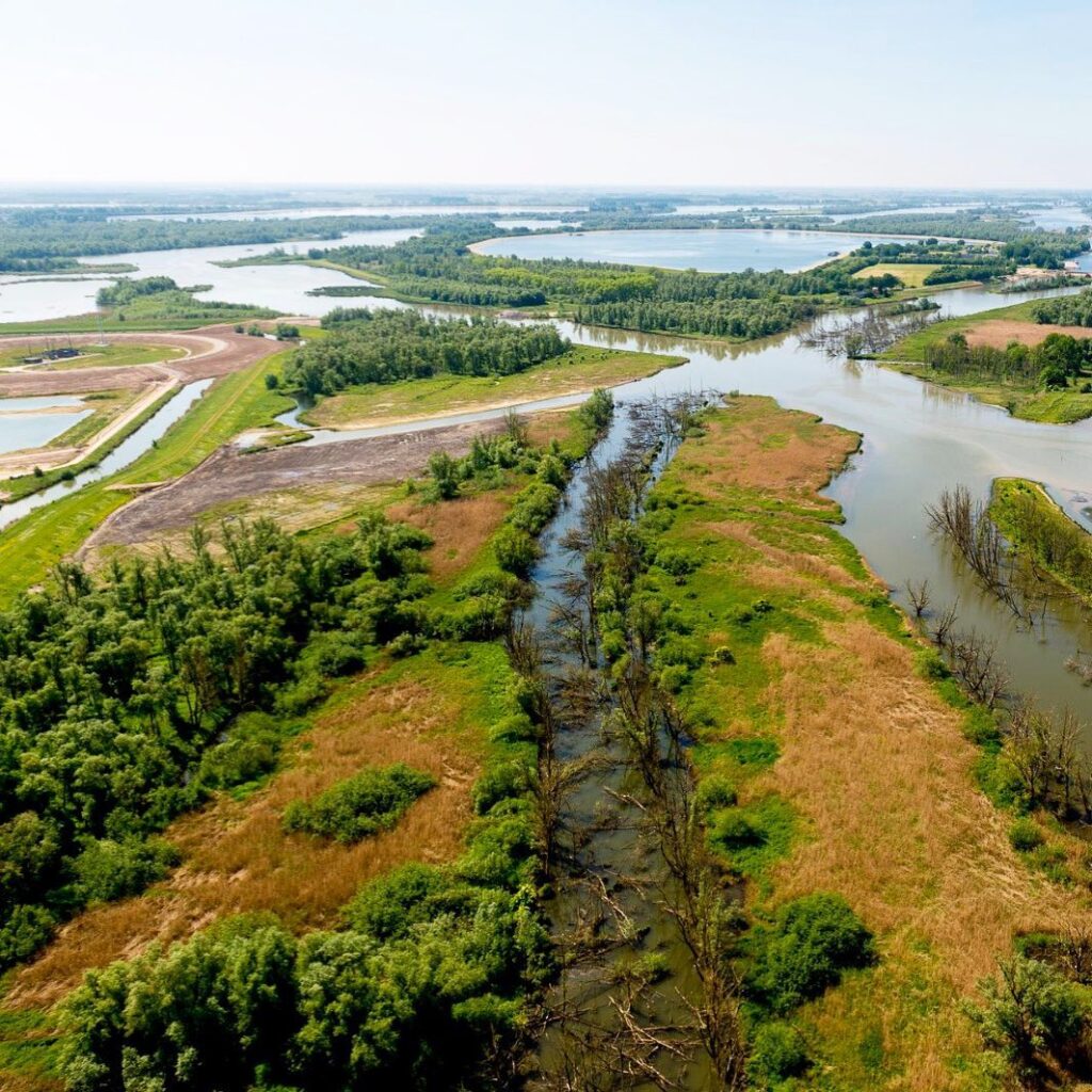 de-biesbosch-national-park