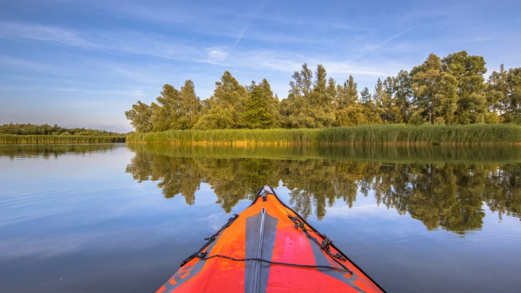 boat tour in biesbosch national park