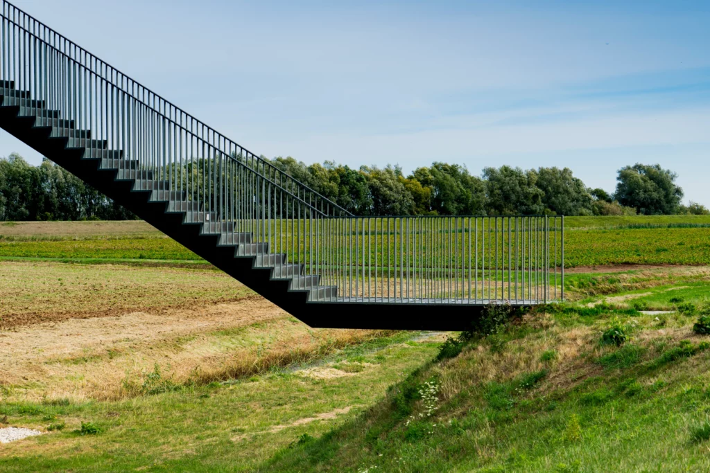 observation tower in biesbvosch national park