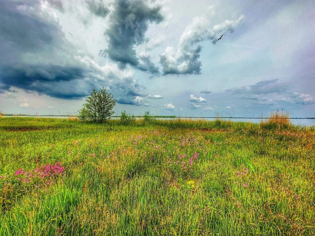 kanovaren weerribben wieden