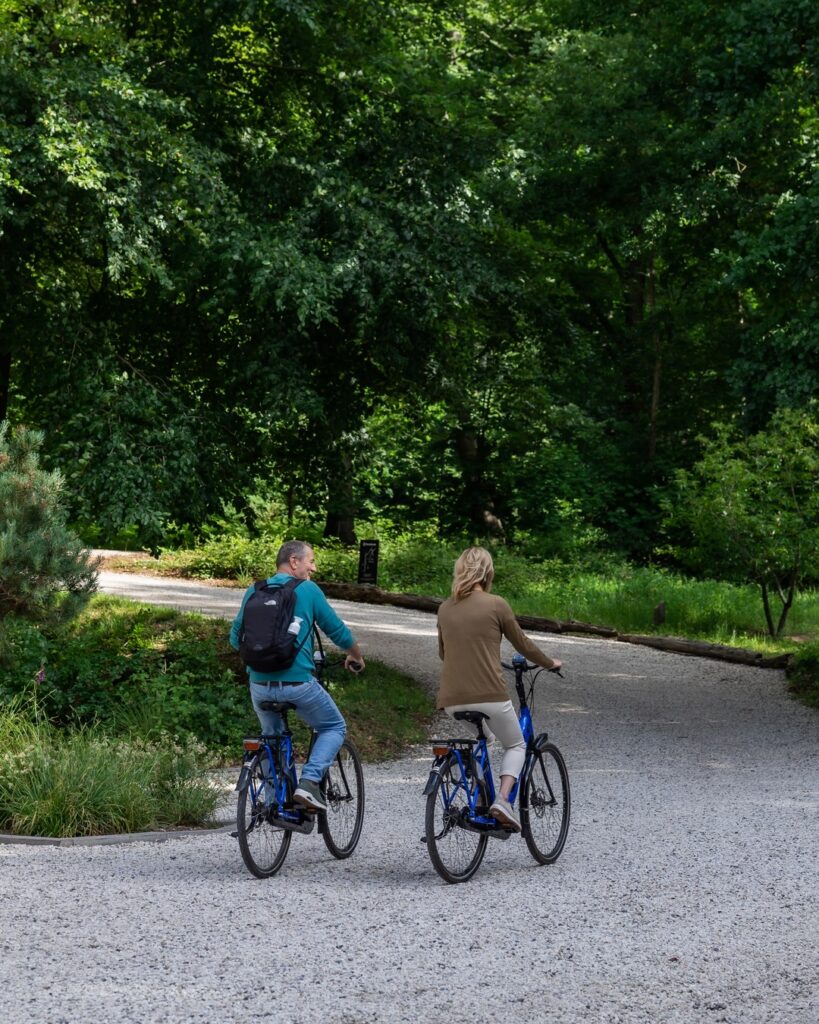 cycling-at-national-park-veluwezoom