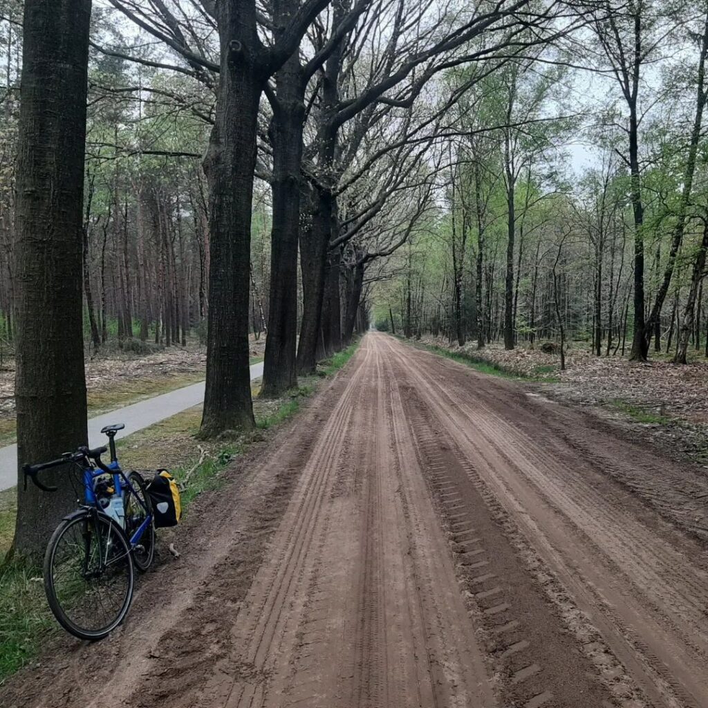 Everything there is to know about the Netherlands