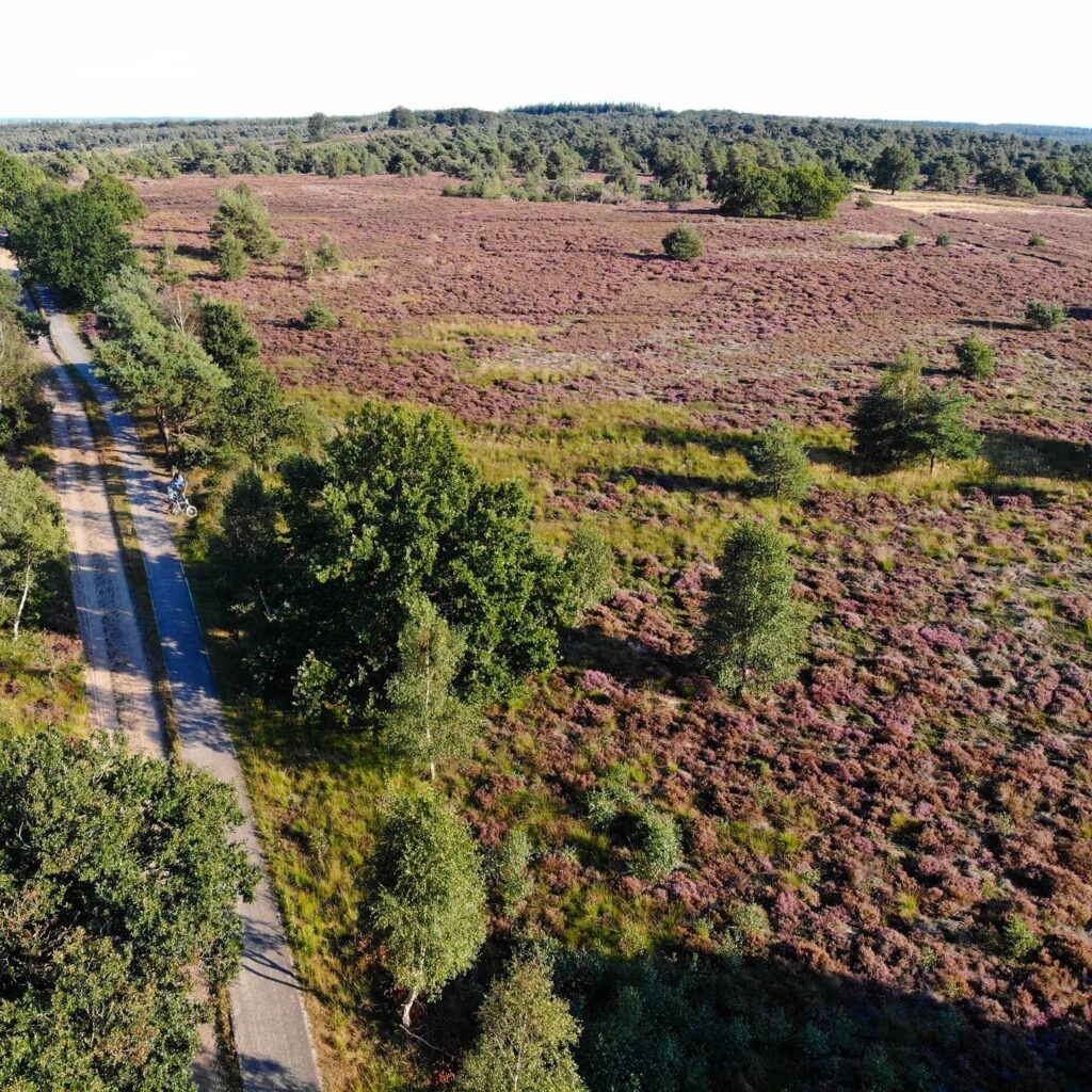 National park sallandse hevelrug