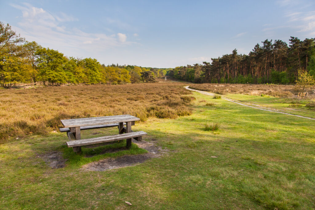 Everything there is to know about the Netherlands