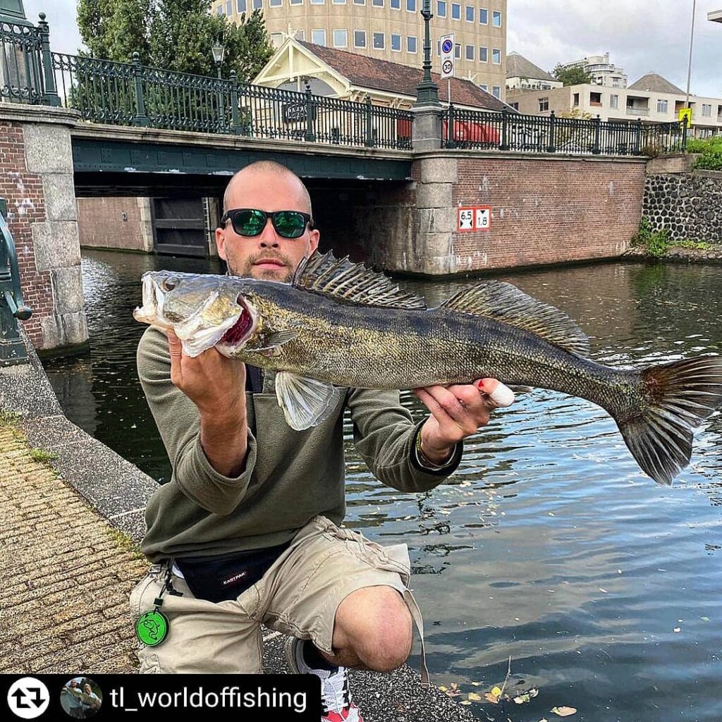 fishing in amsterdam canals