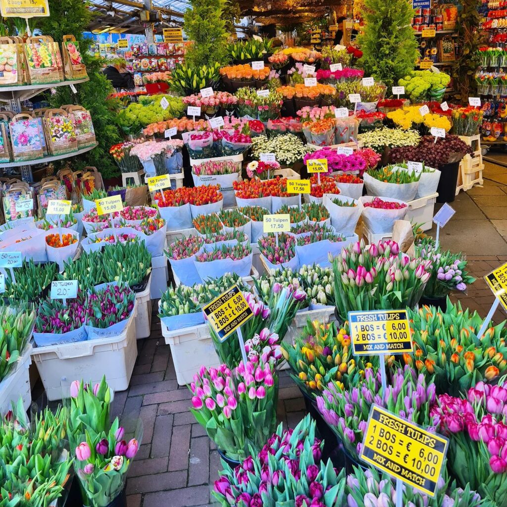 floating market amsterdam