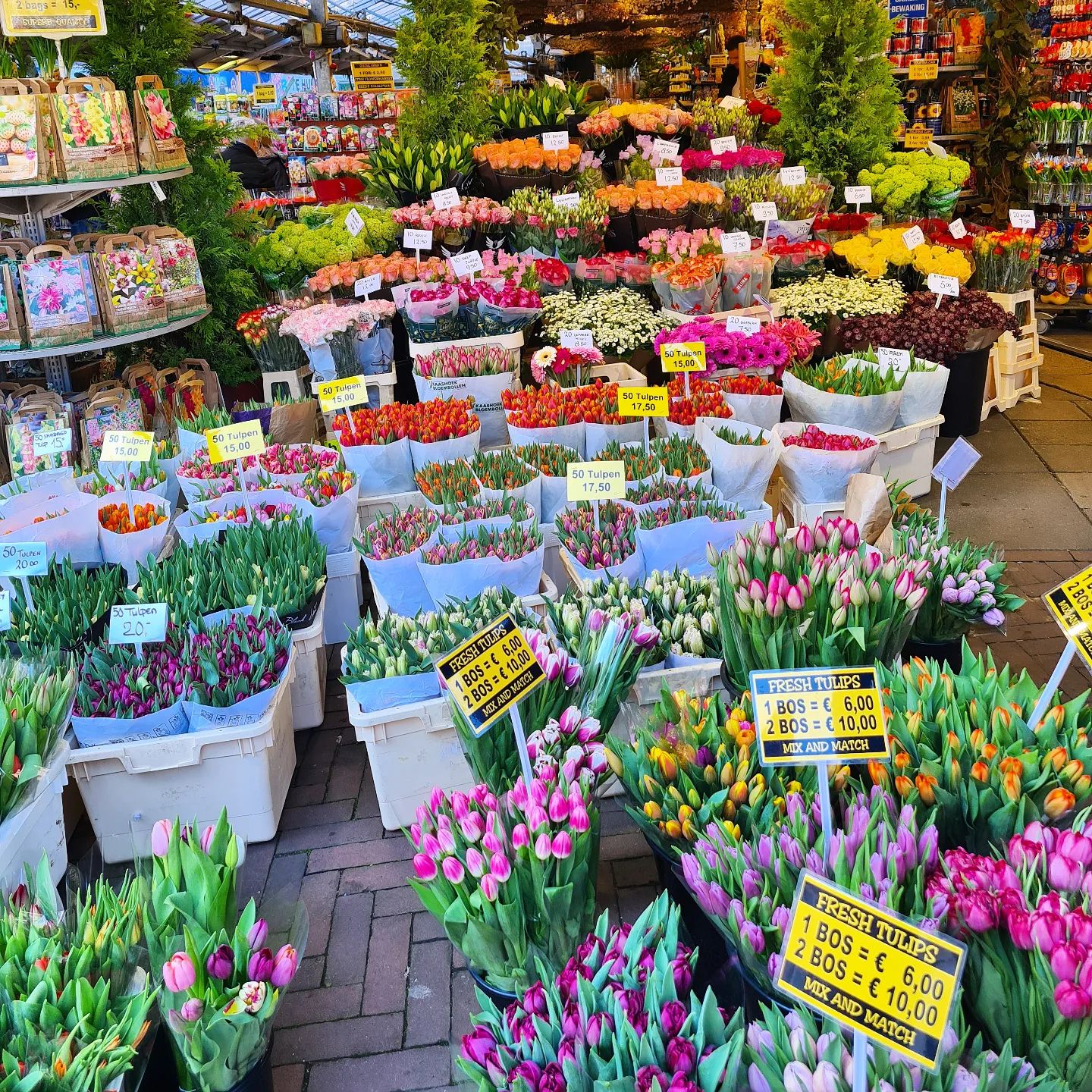 The Best Flower Market in Amsterdam