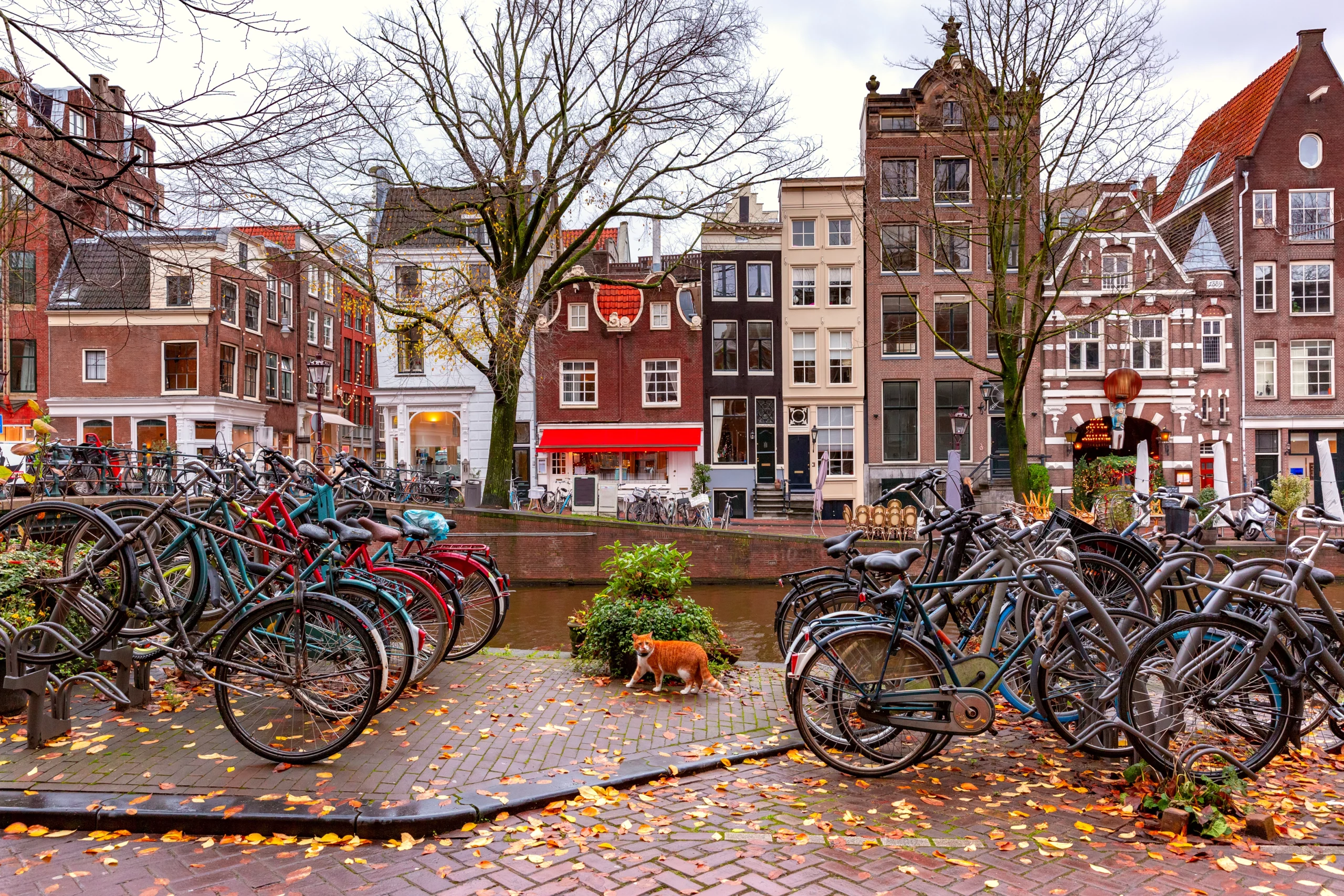 rainy-day-in-Amsterdam