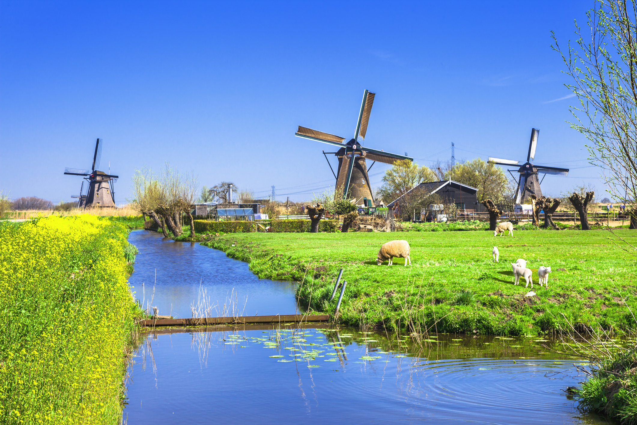 10 Best Dutch Cities In The Netherlands