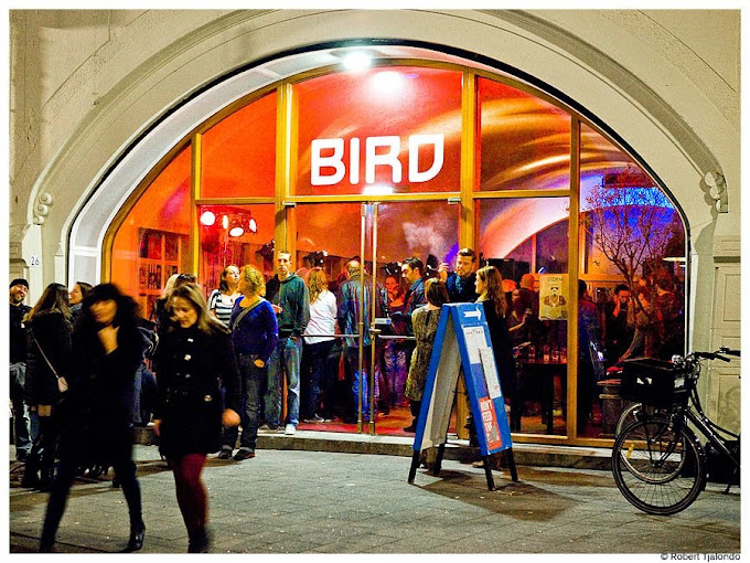 bird cocktail bar