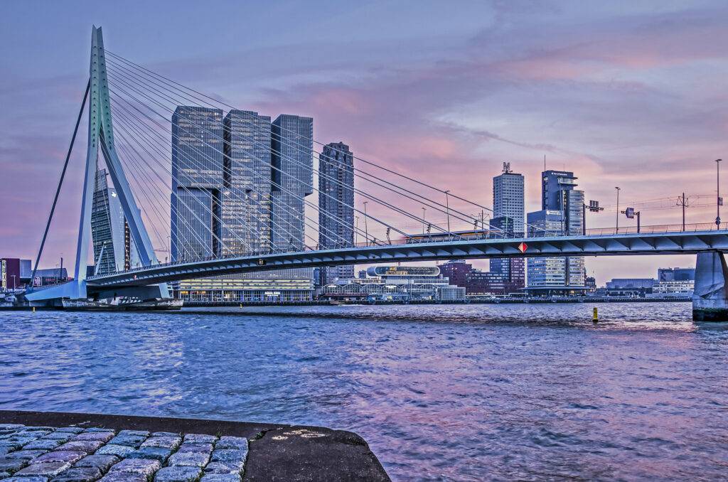 Erasmus bridge rotterdam