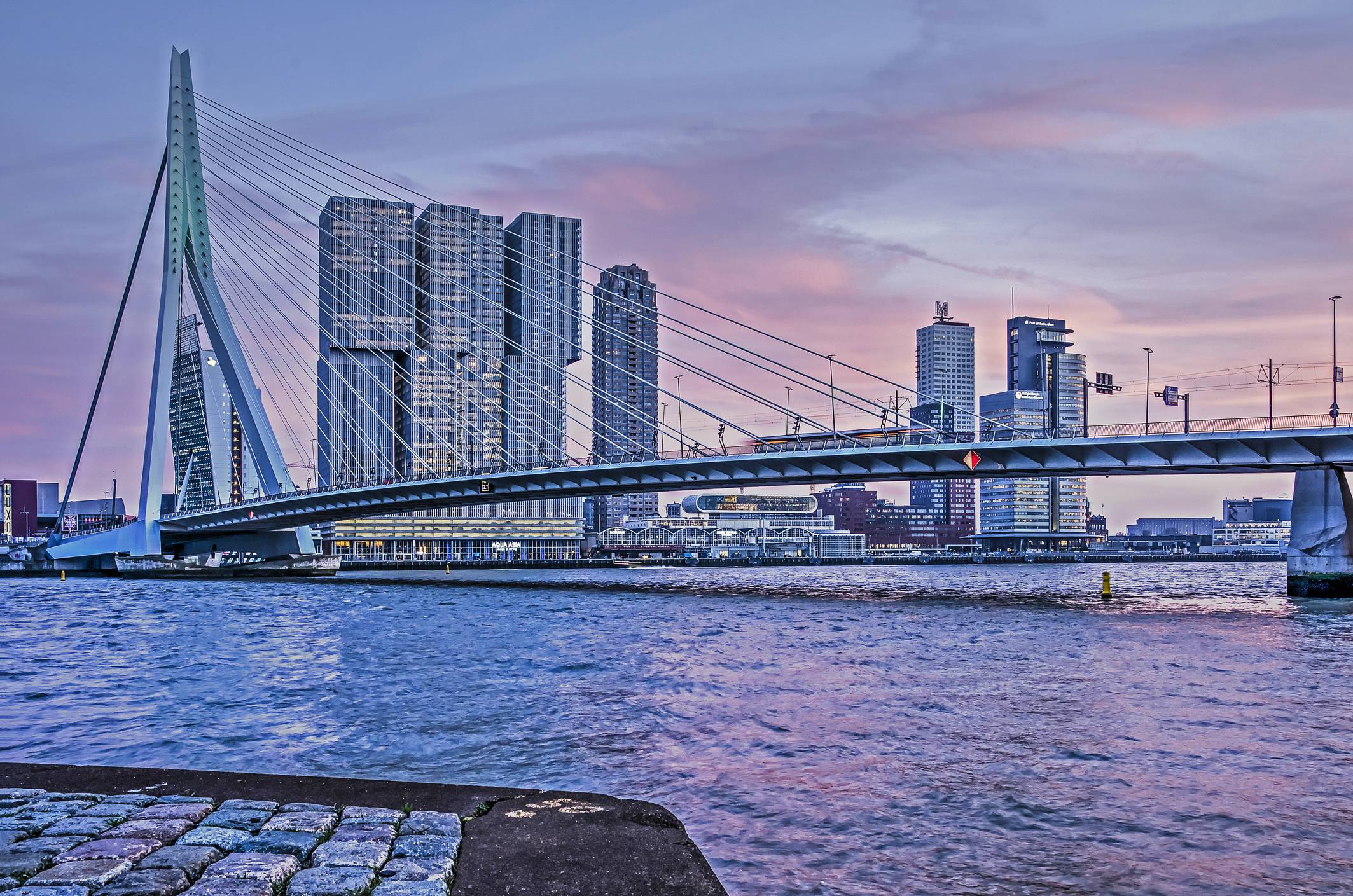 20 Best Free Things To Do In Rotterdam