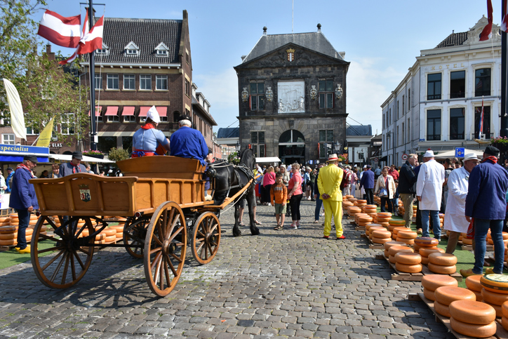 history of gouda cheese market netherlands
