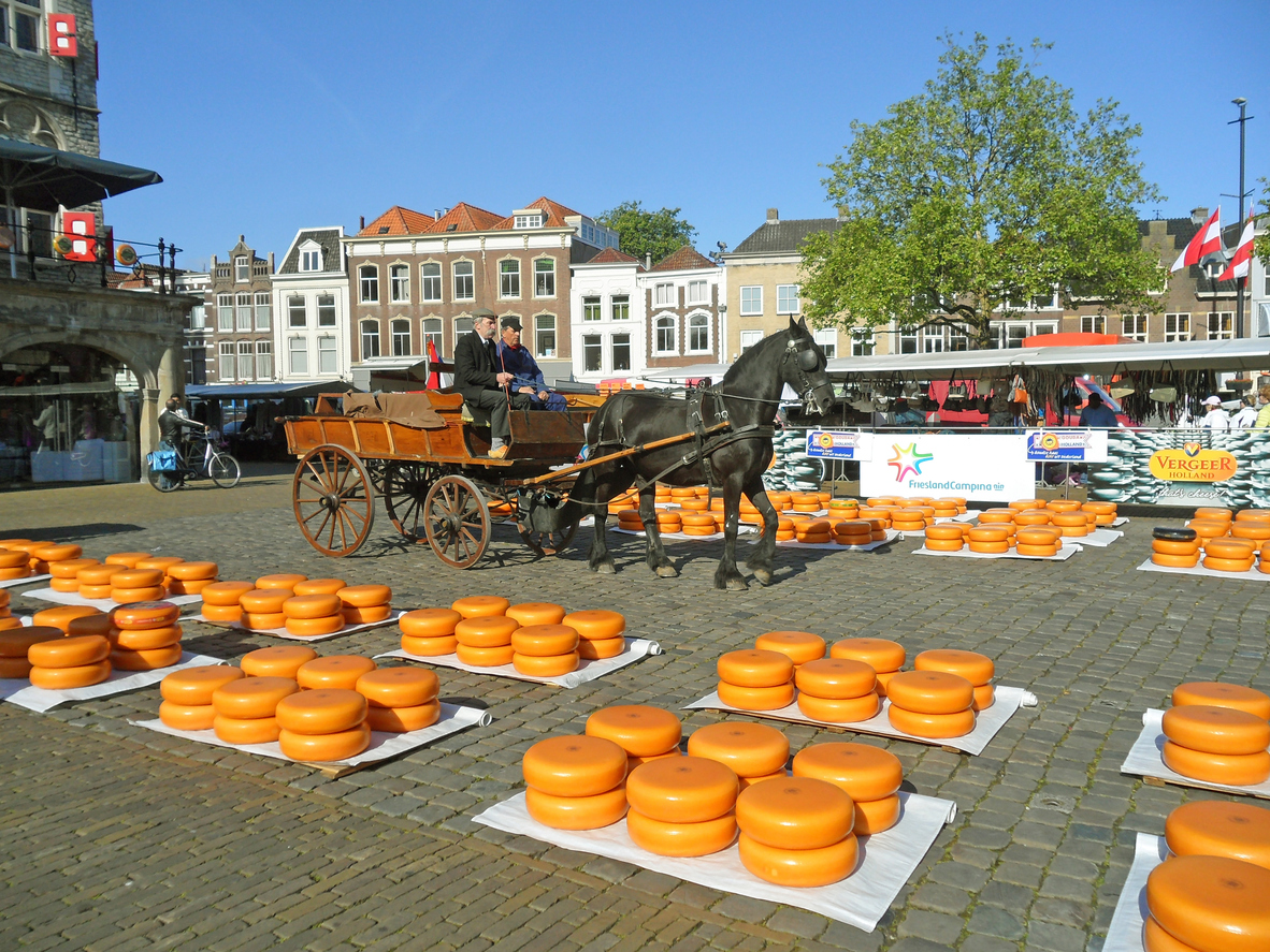 Everything You Need To Know Before Your Trip to the Gouda Cheese Market