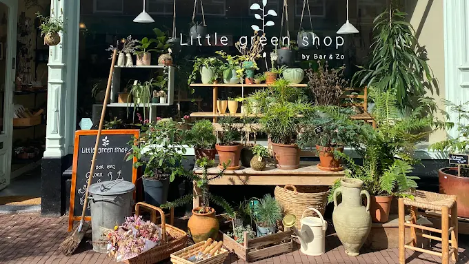 little green shop hague