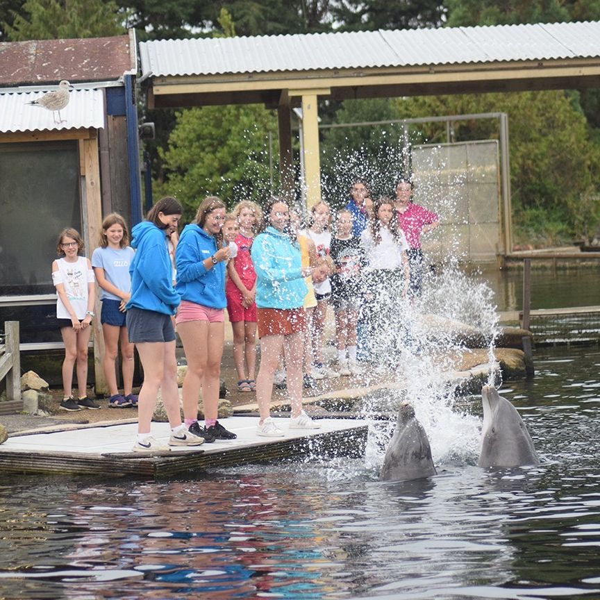 Dolfinarium (Harderwijk):