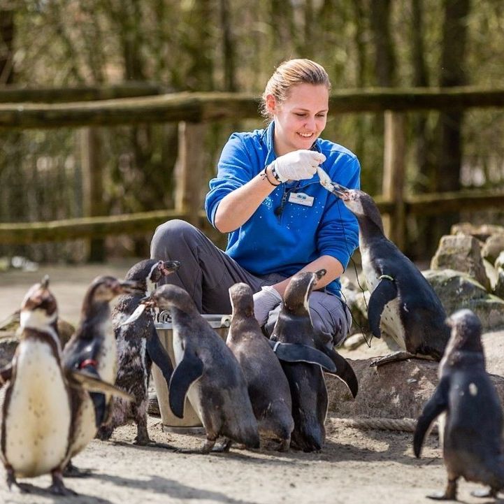 Aqua Zoo (Leeuwarden):