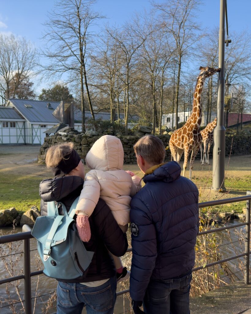 Artis Royal Zoo, (Amsterdam):