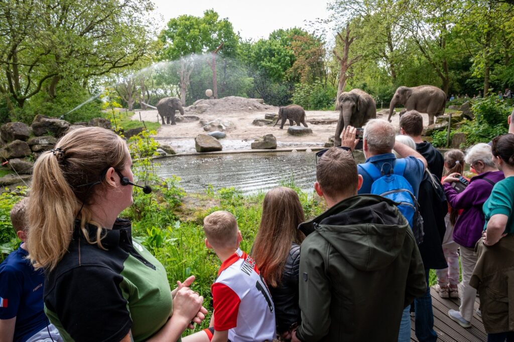 Blijdorp Zoo, (Rotterdam)