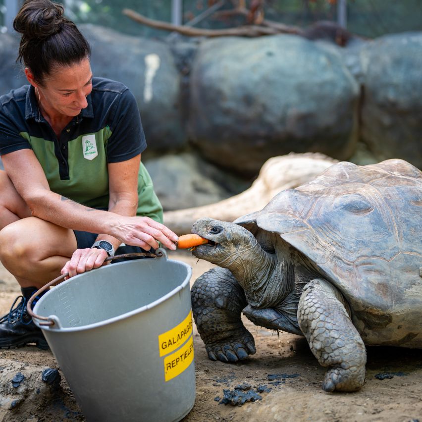 Blijdorp Zoo, (Rotterdam)