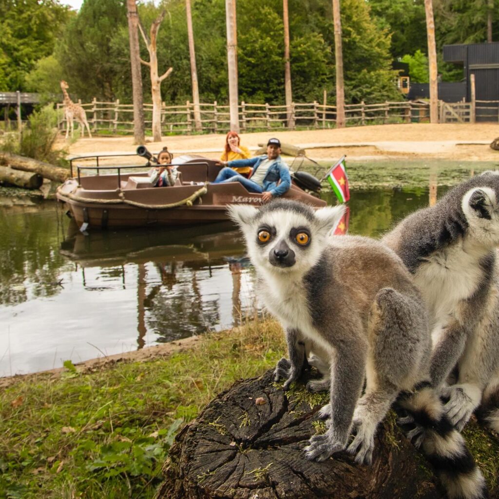 Dierenpark (Amersfoort)