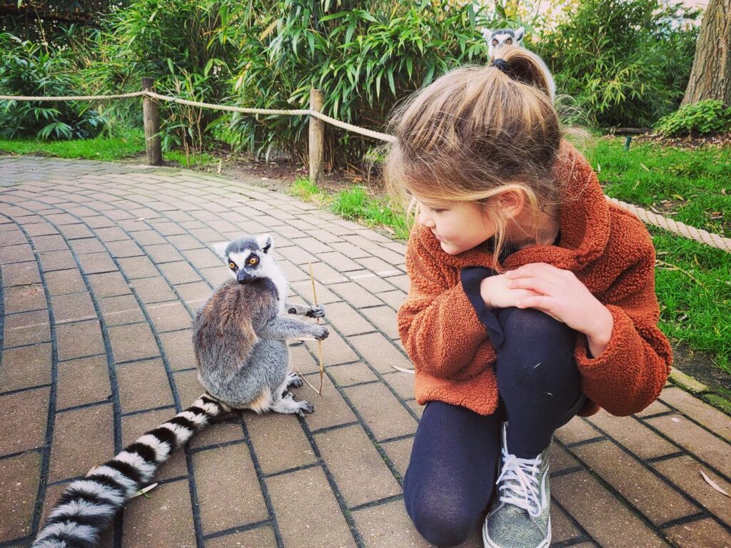 Dierenrijk Europe, (Nuenen)