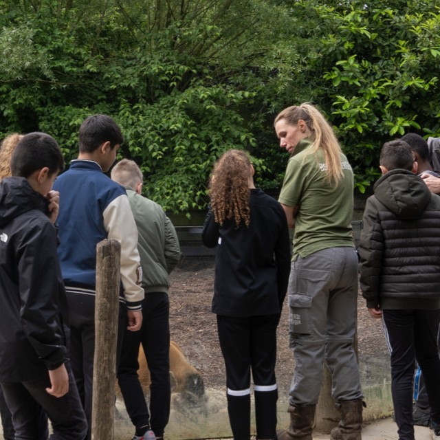 Safaripark Beekse Bergen, (Hilvarenbeek)