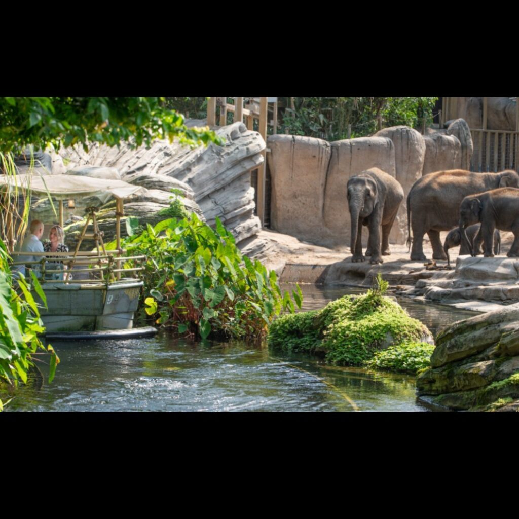 Wildlands Adventure Zoo, (Emmen)