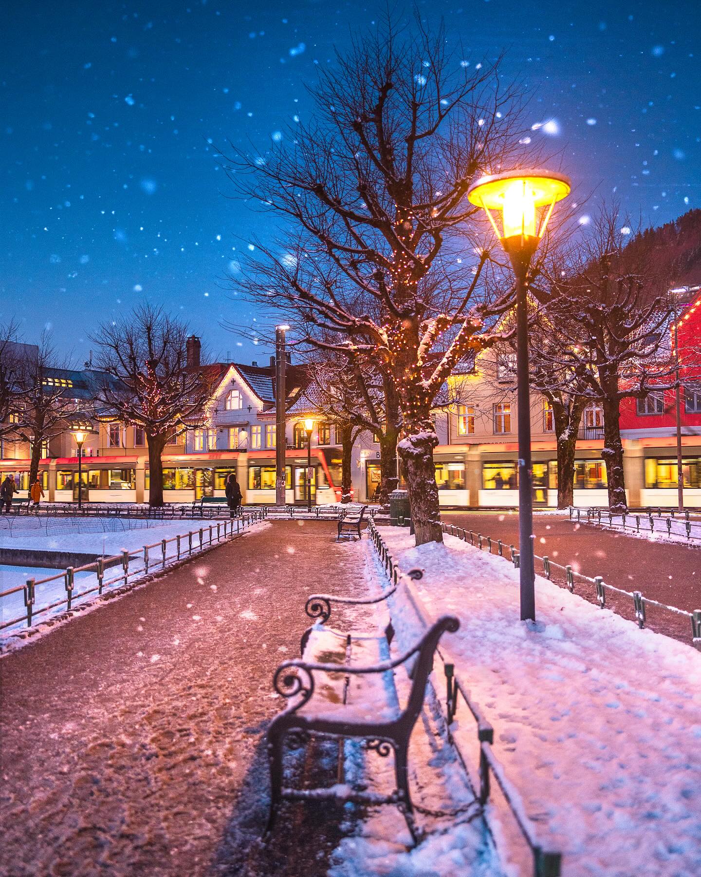 Does It Snow in the Netherlands? A Guide for Travelers and Expats