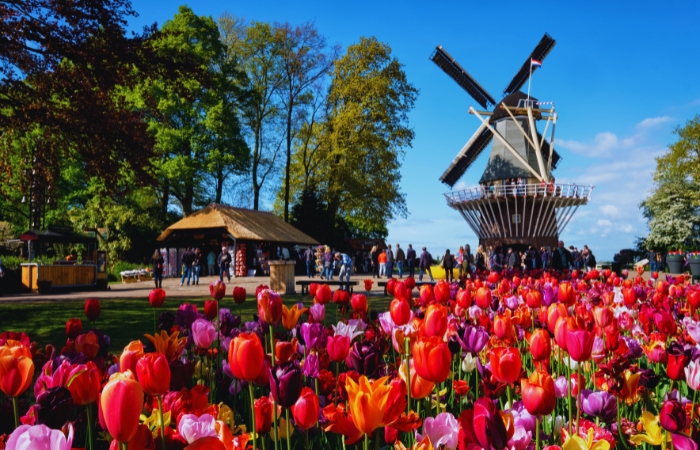 Everything there is to know about the Netherlands