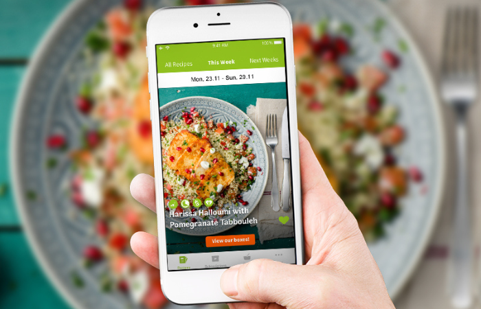 Everything there is to know about the Netherlands